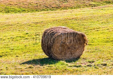 Agricultural Field With Haystacks, Stack Of Round Hay Bales. Hay Balls On A Field.