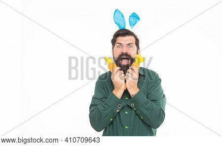 So Happy. Bunny Hunt. Just Having Fun. Eastertime. Happy Holidays. Happy Bunny Guy With Carrot. Copy