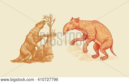 Ground Sloth Or Megatheriidae And Palorchestes With A Trunk. Marsupials Of The Family Palorchestidae