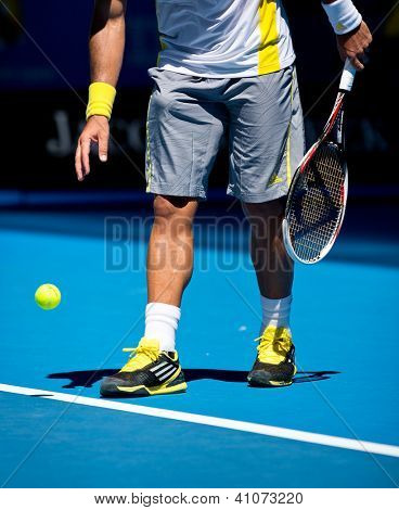 MELBOURNE - 14 gennaio: Fernando Verdasco di Spagna nella sua prima vittoria rotonda sopra David Goffin di Belg