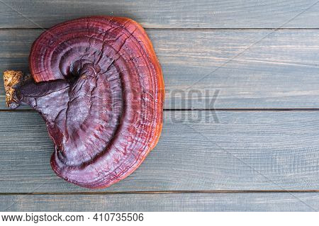 Close Up Of Ling Zhi Mushroom On Wood Table