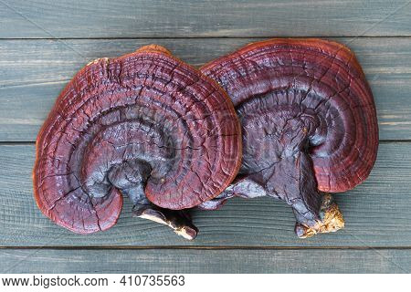 Close Up Of Ling Zhi Mushroom On Wood Table