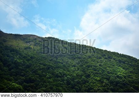 Deciduous Forest Covering Mountains. The Fog Is Ascending. Markotkh Ridge