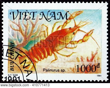 Vietnam - Circa 1991: A Stamp Printed In Vietnam Shows Palinurus, Shellfish, Circa 1991