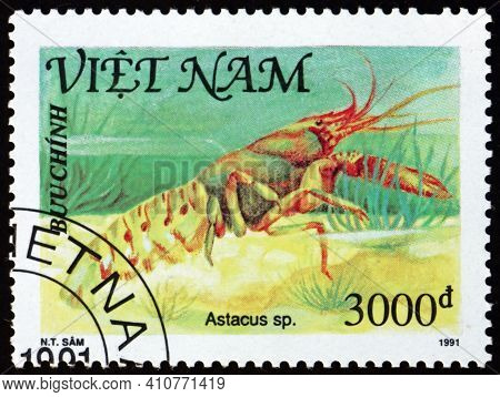 Vietnam - Circa 1991: A Stamp Printed In Vietnam Shows Astacus, Shellfish, Circa 1991