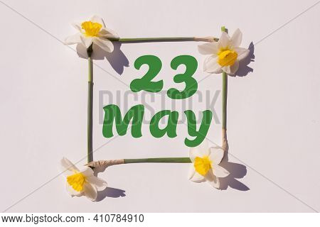 May 23th. Day 23 Of Month, Calendar Date. Frame From Flowers Of A Narcissus On A Light Background, P