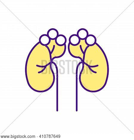 Kidneys Rgb Color Icon. Medical Treatment. Body Health Care. Stones In The Kidneys. Kidney Transplan