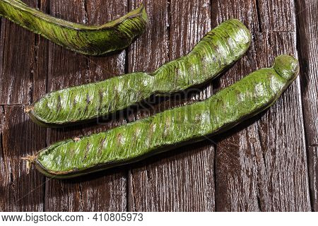 Inga Edulis Tropical Fruit In Pod - Text Space