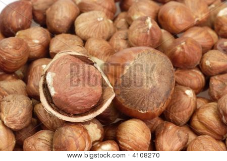 Nocciole