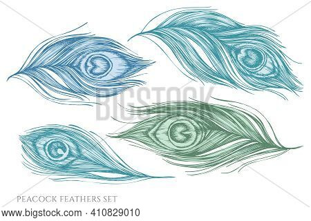 Vector Set Of Hand Drawn Pastel Peacock Feathers Stock Illustration