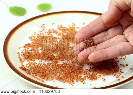 Planting  Seeds Of Garden Cress, Lepidum Sativum.  Fresh Spring Herb Full Of Vitamins Grown At Home.