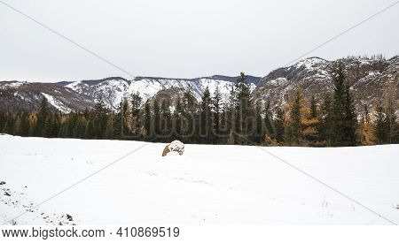 View Of Ulagan Highlands In Altay Mountains In The Winter, Siberia, Russia