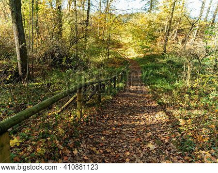 Trails For Walks In The Reserve