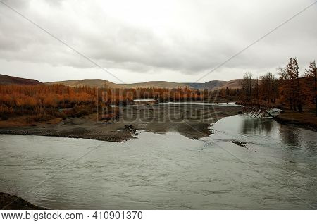The Confluence Of Two Rivers With The Banks Overgrown With Larch Trees Yellowed From Autumn, Surroun