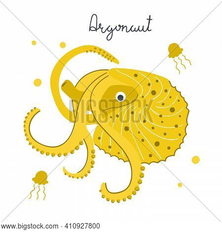 Hand Drawn Cute Argonaut, Ocean Animal. Underwater Nature Concept. Flat Illustration.