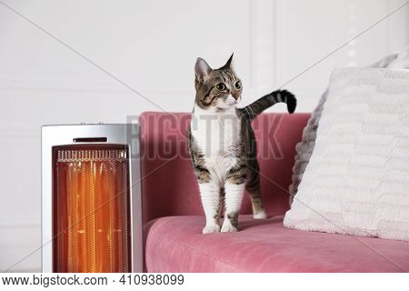 Cute Cat On Sofa Near Modern Electric Ultrared Heater Indoors