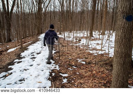 Beautiful Meditative Image Of A Man Walking Alone Through The Snowy Woods. Contemplative And Serence