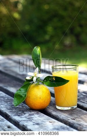A Glass Of Organic Orange Juice On Wooden Table Healthy Drink Vitamin C