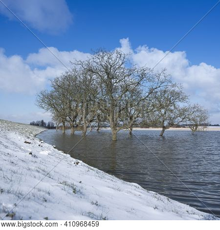 Trees In Water Of Floodplanes During Flood Of River Rhine Near Culemborg In Holland Under Blue Sky N