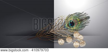 Stock Vector Illustration Set Realistic Peacock Feather Isolated On A Black And White Background. Ep