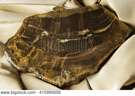 Beautiful Petrified Wood With Small Crystalline Inclusions