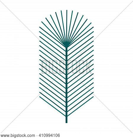 Simple Minimalistic Green Branch Of A Spruce With Needles. Floral Collection Of Elegant Plants For S