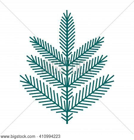 Simple Minimalistic Green Branch Of A Spruce With Needles. Floral Collection Of Elegant Plants For S