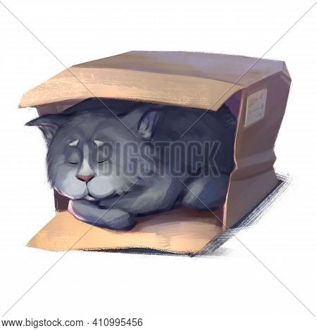 Cat Sleep In Box 2d Art Digital