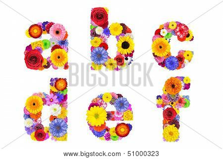 Floral Alphabet Isolated On White - Letters A, B, C, D, E, F