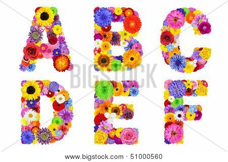 Floral Alphabet Isolated On White - Letters A, B, C, D, E, F