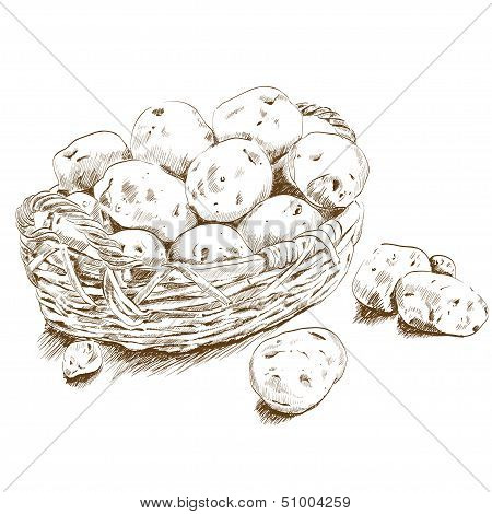 Potatoes In A Basket
