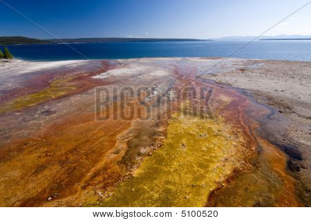 Hot Springs i Yellowstone National Park