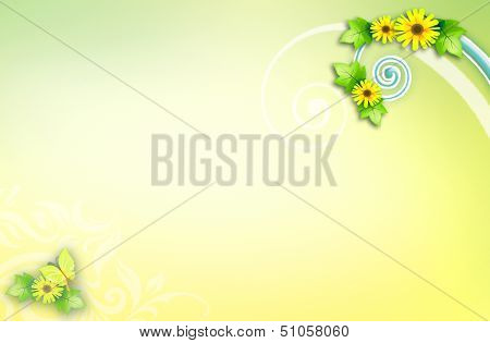 beauty template