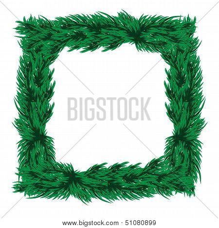 Frame Of Christmas Tree Branches On A White Background.vector