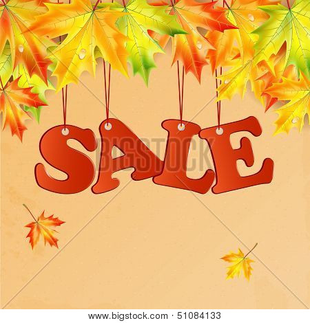 Word Sale And Autumn Maple Leaves.seasonal Autumn Sale.vector