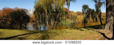 Autumn Morning In Central Park, New York - Weeping Willows By The Lake