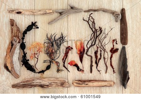 Driftwood and seaweed abstract design over old oak background.