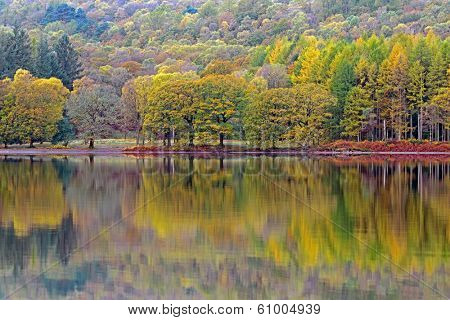 Trees ablaze with Autumn colour reflected in the calm surface of Coniston Water in the Lake District.