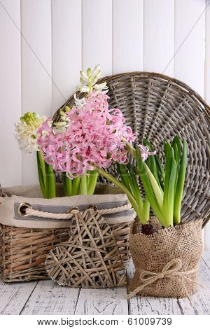 Hyacinth in pot with decorative heart on table on wooden background
