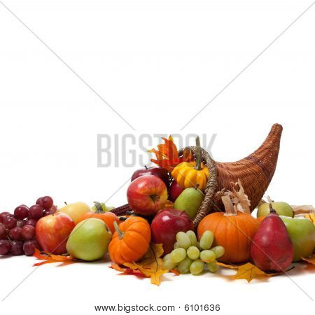 Fall Cornucopia On A White Back Ground