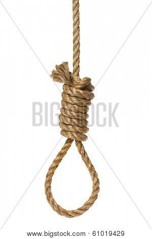 Rope knotted in noose on white background