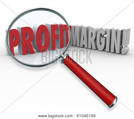 Profit Margin Words Magnifying Glass Searching Big Earnings Income