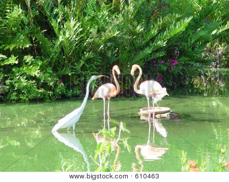 아름 다운 동물