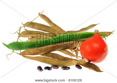 Green Bean And Pumpkin.