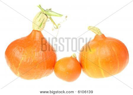 Three Pumpkins.