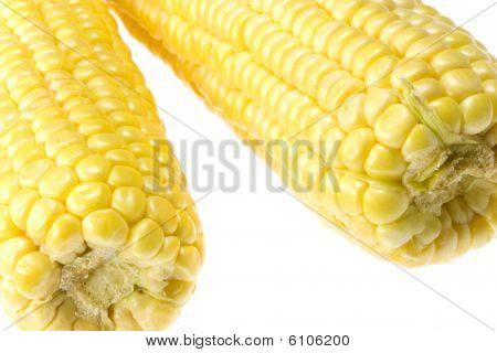 Uncooked Corn.