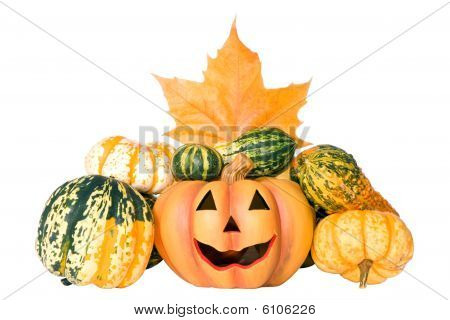Pumpkins On White.