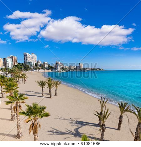 Alicante San Juan beach of La Albufereta with palms trees in Mediterranean Spain