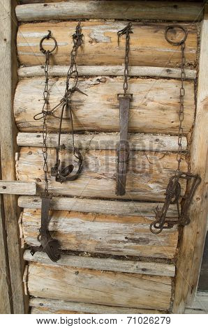 Animal Traps