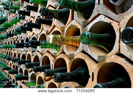 Cellar